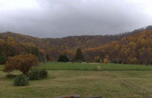 Three Springs Plus - Foto 37