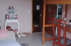 tree house - Foto 32