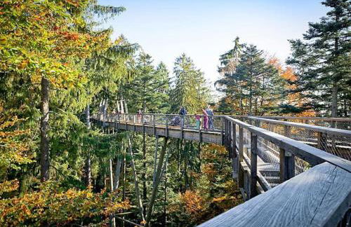 Cozy I Blockhütte im Nationalpark I Ferienwohnung - Foto 24