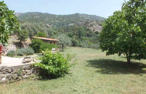 House on Lesbos, Greece - Foto 15