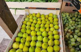 Luxury Beach Apartment Adria with Private Pool and Sea View - Photo 27