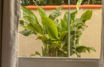 Casa Laguna - Geribá - Foto 22