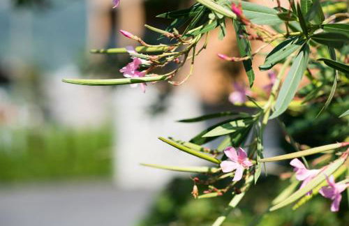 Moar am Ort - Foto 51