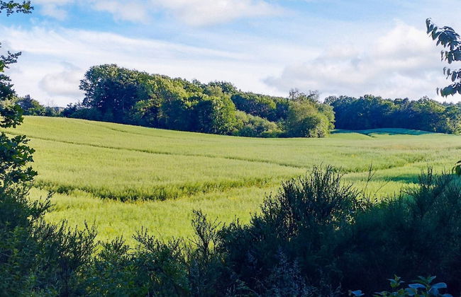 4 Person Holiday Home in Aars - Foto 17