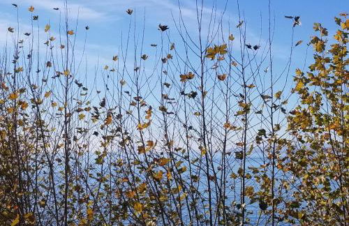 Casa Cachita - En 1ª línea de playa con maravillosas vistas - Photo 33