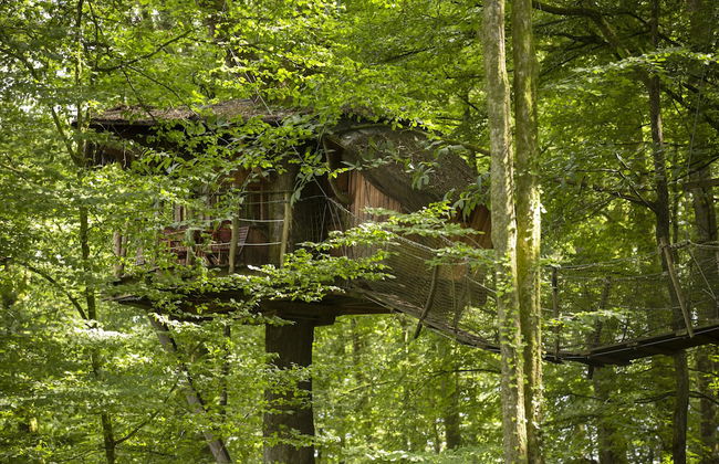 L'Arbre à Cabane - Foto 26