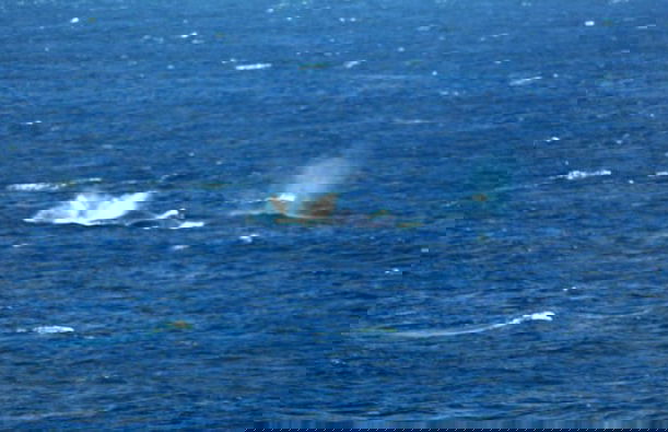 Casa Malcampo - Foto 17