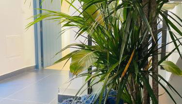 GALA Apartamentos Bravo Murillo - parking gratis - Foto 2