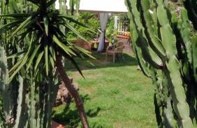 Talia Residence - Photo 102