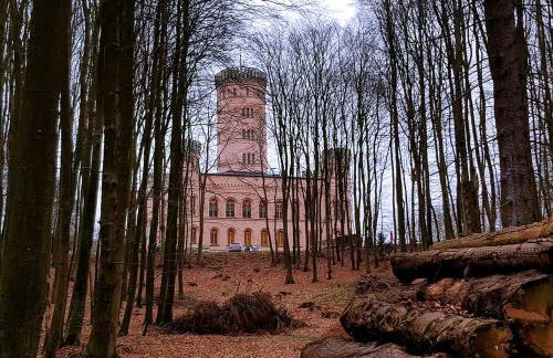 Kleines Apartment mit traumhaftem Seeblick, Ferienpark Seedorf Zeesenhaus Nr 4 - Foto 32