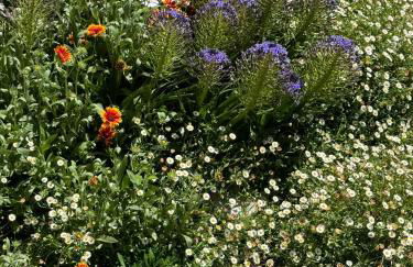 entre mer et campagne - Foto 29