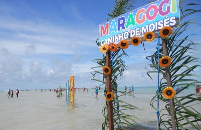 Paseo en barco por las piscinas naturales de Maragogi - Foto 7