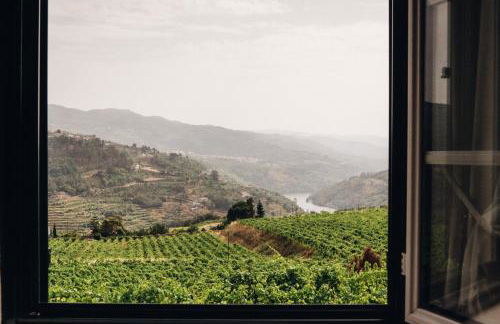 Quinta De Guimaraes - Foto 68