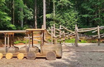 Waidlerland Waldkirchen Chalets - Foto 71