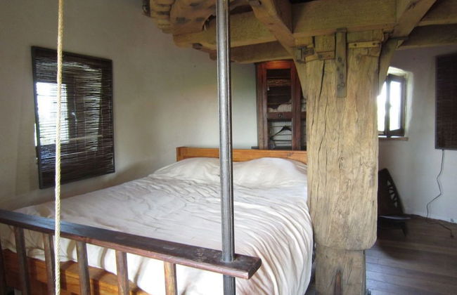 De Reus van Horebeke - Photo 11