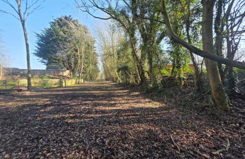 Lighthouse Lodge - Dog Friendly Nr Sutton on Sea - Photo 11