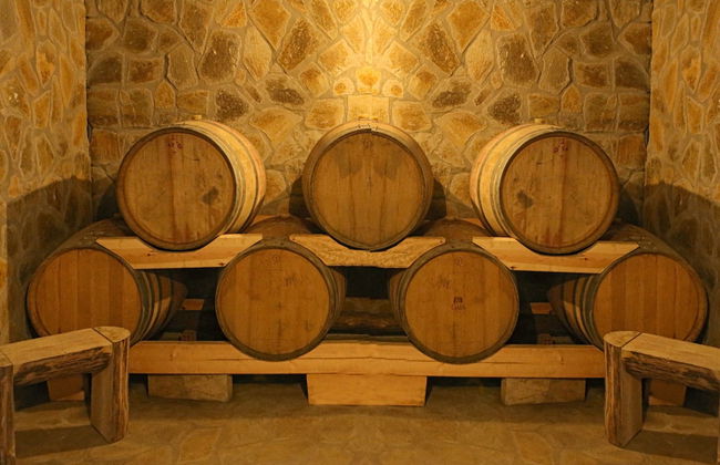 Captain Ikaros - Foto 79