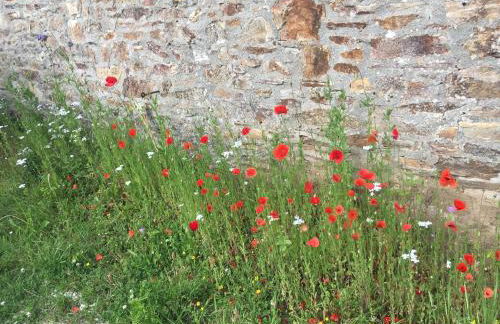 La Clé de Taulé - Foto 71