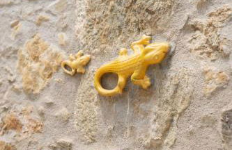 Mas Font- Nature Bike - Foto 51