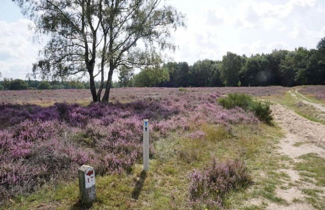 Family Villa + Sauna & Sunroom - Foto 49