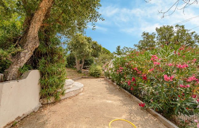 Les Gaulois - Foto 24