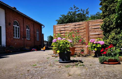 Landidylle Mertensdorf - Ferienwohnung - Foto 18