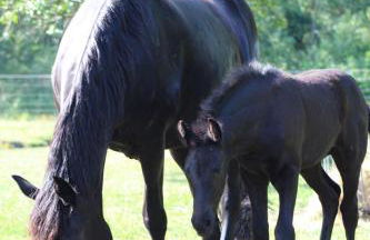 Weidmannsruh - große Ferienwohnung mit 3 Schlafzimmern - Foto 13