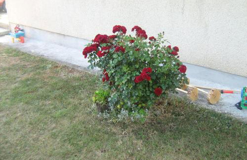 Apartment Jopa - Foto 36