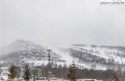 On Top Of Everything at Beech - Foto 12