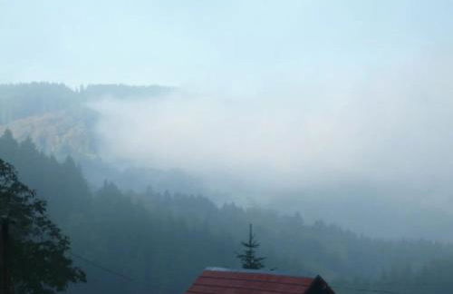 Ferienwohnung Moog - Foto 21