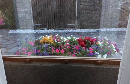 Casa Do Grilo - Foto 31