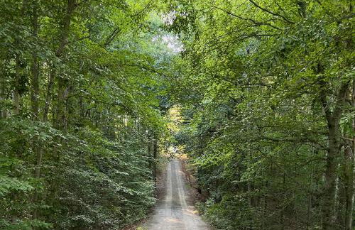 The Ann-ex at King's Crossing - Foto 24