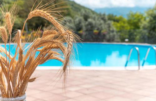 Agriturismo San Basilio - Foto 106