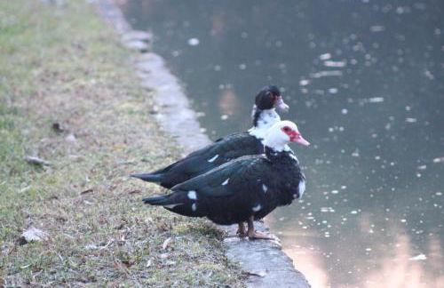 Agriturismo La Lupa - Photo 64