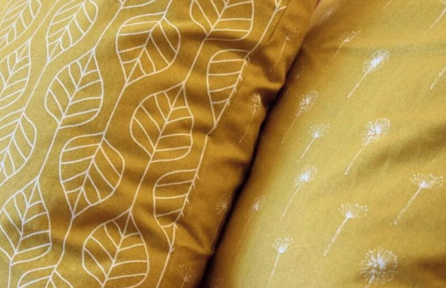 Herring Gull in the Villa Meernixe Binz - Foto 13