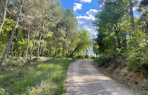 Sant Grau I - Foto 40