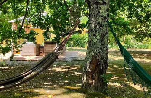 Casa das Palmeiras - Pedagogic Farm - Foto 24