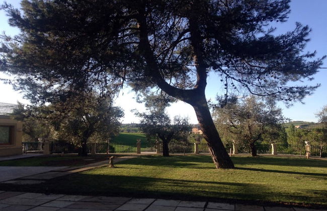 Agriturismo La Limonaia - Foto 46