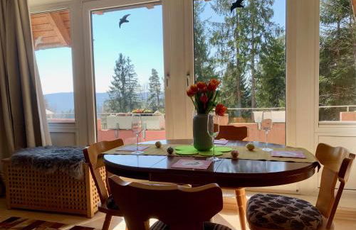 Studio Hase Saig - Photo 50