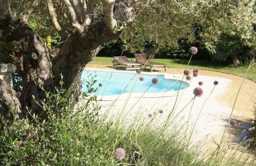 villa entre st rémy de provence et avignon - Foto 10