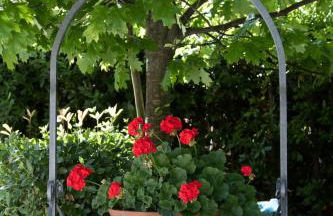 Case Rosse Suite - Foto 19