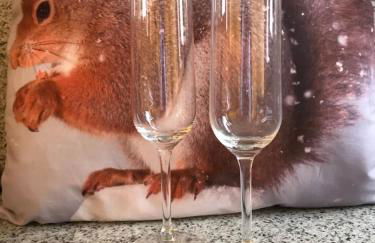 L'Esquirol de L'Esquirol - Photo 9