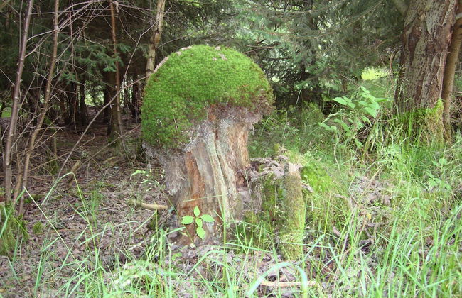 Cosy Apartment in Hallenberg Near Centre - Foto 61