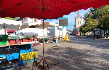 Maison près des plages Cap de l'Homy et Contis 2 vélos disponibles - Foto 16