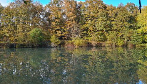 Domaine des Aulnaies - Beauval - Mareuil sur Cher - Photo 4, Garden