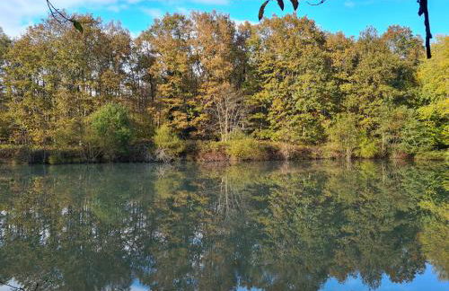 Domaine des Aulnaies - Beauval - Mareuil sur Cher - Foto 4