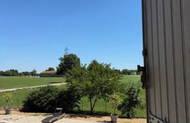 La Villa de Marius - Foto 77