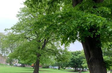 Tapestry Apartment - Foto 18