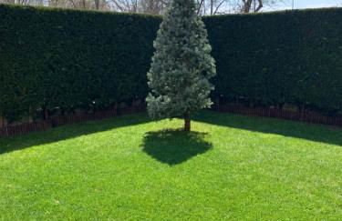 La casa del Pino Argentato - Foto 25