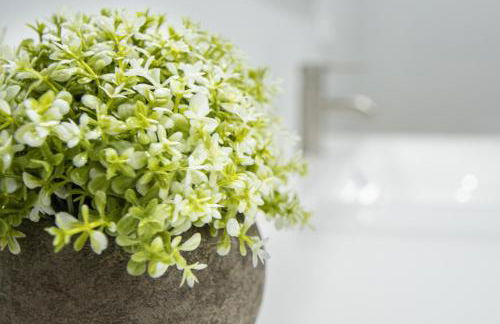 Jardines de Candelaria Cadiz - Foto 22